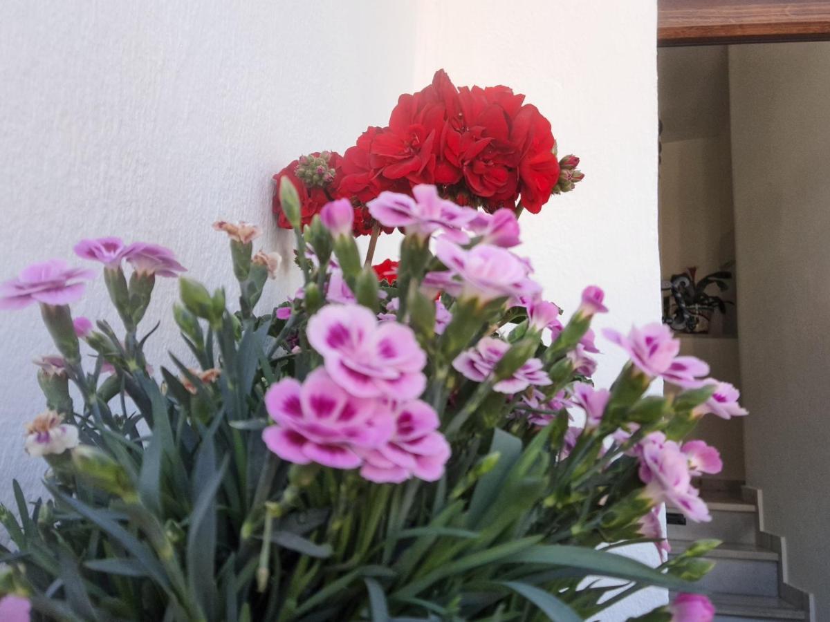 Apartamento "La Vina" Malaga Zewnętrze zdjęcie
